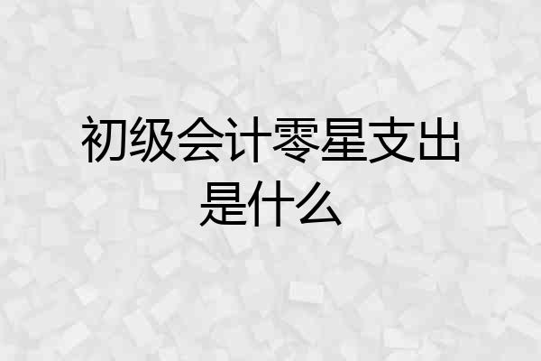 初级会计零星支出是什么