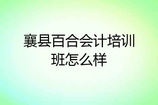 襄县百合会计培训班怎么样