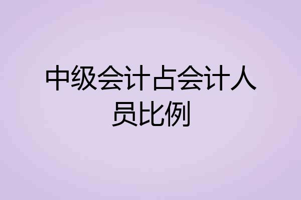 中级会计占会计人员比例