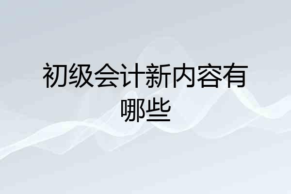 初级会计新内容有哪些