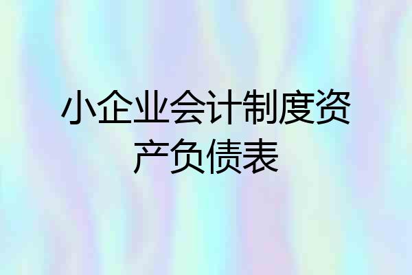 小企业会计制度资产负债表