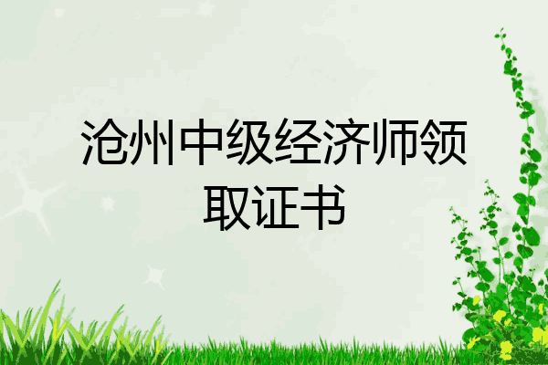 沧州中级经济师领取证书