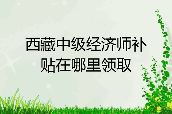 西藏中级经济师补贴在哪里领取