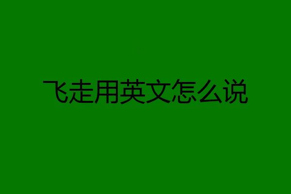 飞走用英文怎么说