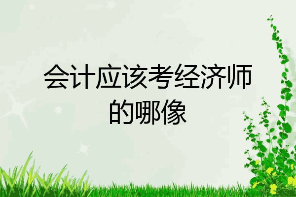 会计应该考经济师的哪像