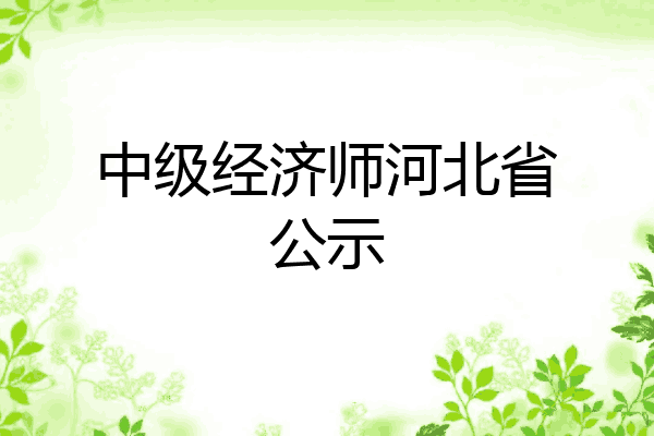 中级经济师河北省公示