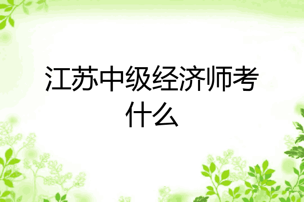 江苏中级经济师考什么
