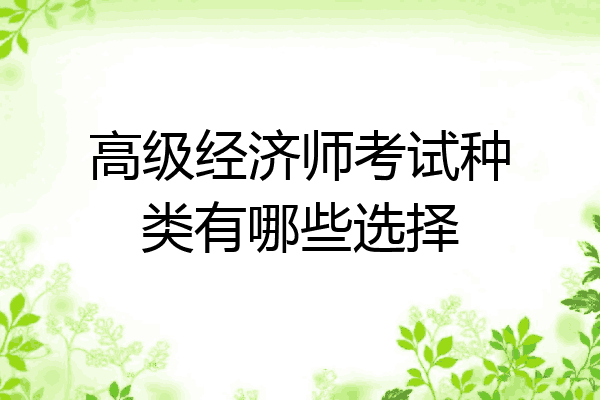 高级经济师考试种类有哪些选择