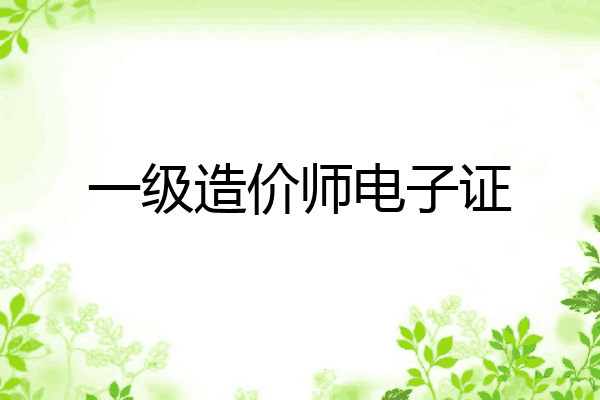一级造价师电子证