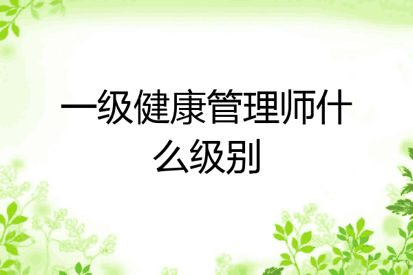 一级健康管理师什么级别