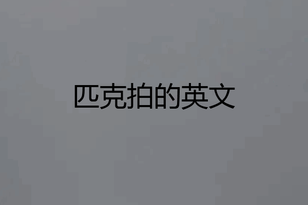 匹克拍的英文