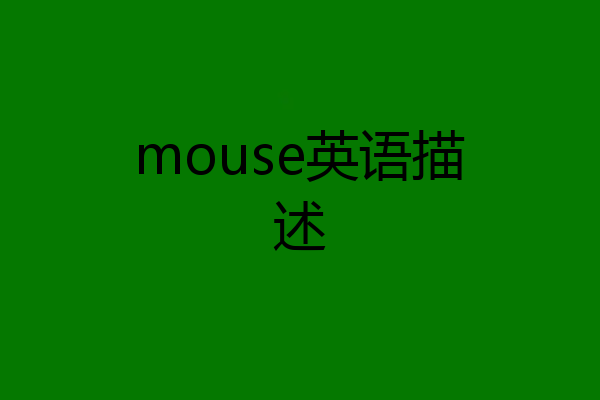 mouse英语描述
