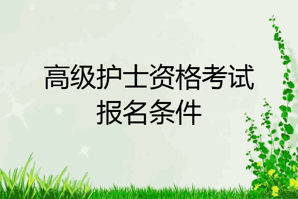 高级护士资格考试报名条件