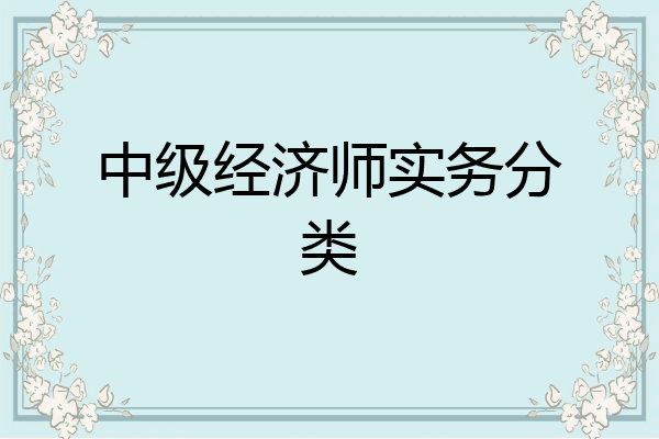 中级经济师实务分类