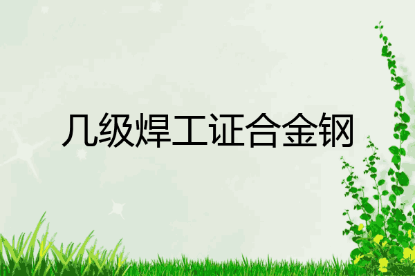 几级焊工证合金钢