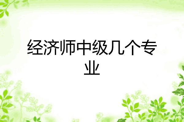 经济师中级几个专业