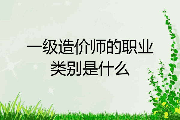 一级造价师的职业类别是什么