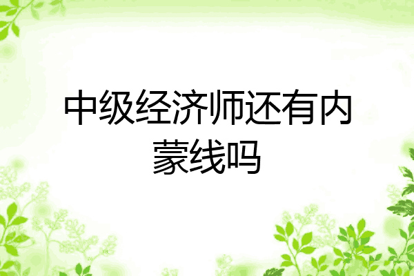 中级经济师还有内蒙线吗