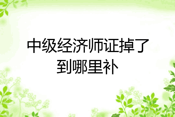 中级经济师证掉了到哪里补
