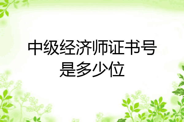 中级经济师证书号是多少位