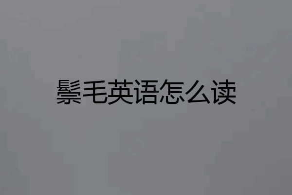 鬃毛英语怎么读