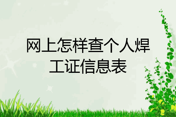 网上怎样查个人焊工证信息表