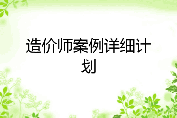 造价师案例详细计划