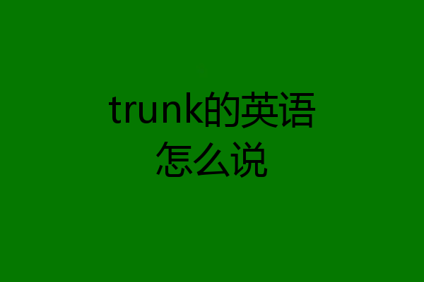 trunk的英语怎么说