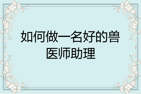 如何做一名好的兽医师助理