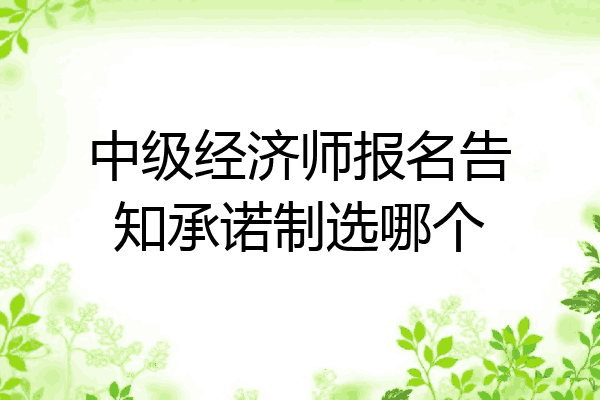 中级经济师报名告知承诺制选哪个