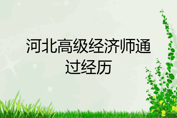 河北高级经济师通过经历