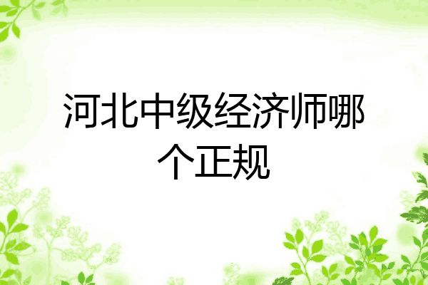 河北中级经济师哪个正规