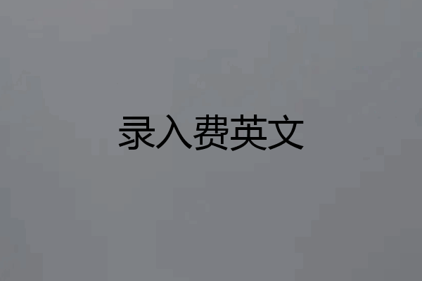 录入费英文