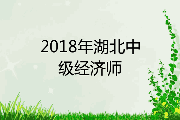 2018年湖北中级经济师