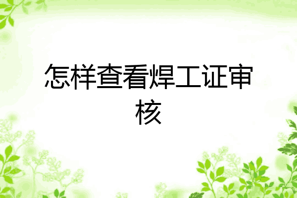 怎样查看焊工证审核