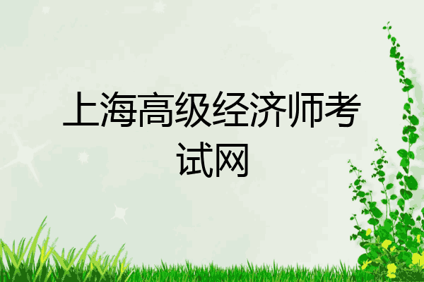 上海高级经济师考试网