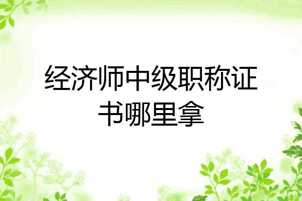 经济师中级职称证书哪里拿