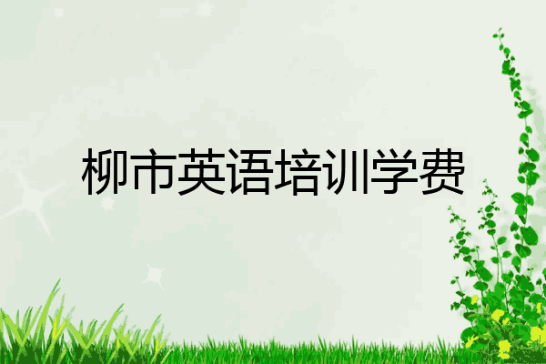 柳市英语培训学费