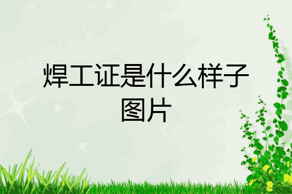 焊工证是什么样子图片