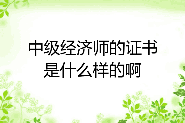 中级经济师的证书是什么样的啊