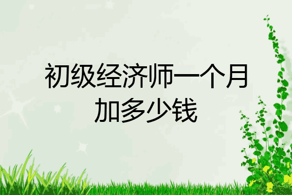 初级经济师一个月加多少钱