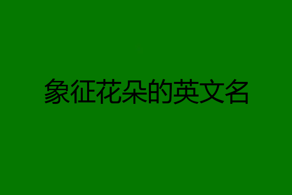 象征花朵的英文名