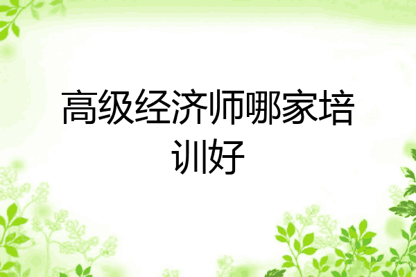 高级经济师哪家培训好