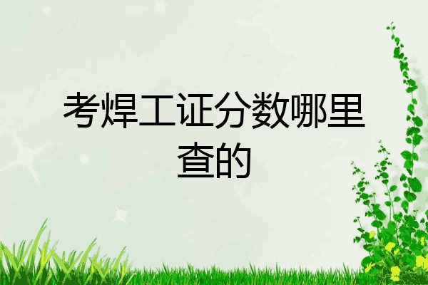 考焊工证分数哪里查的