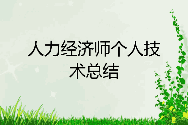 人力经济师个人技术总结
