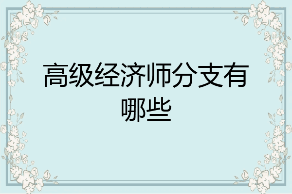 高级经济师分支有哪些