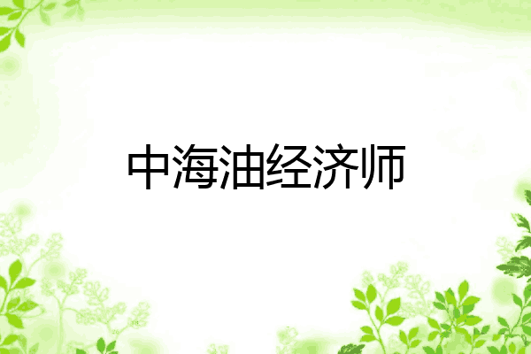 中海油经济师