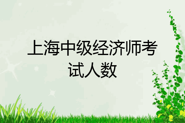 上海中级经济师考试人数