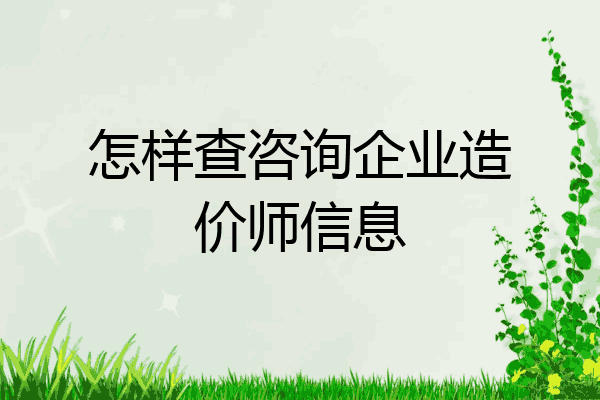 怎样查咨询企业造价师信息