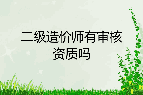 二级造价师有审核资质吗